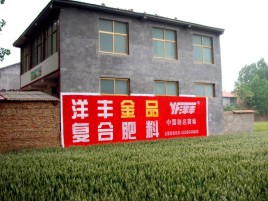 江陵如何让墙体广告展现最大化效果