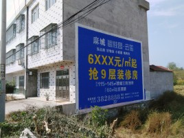 江陵墙体广告质量分析