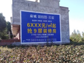江陵品牌公司青睐的墙体广告