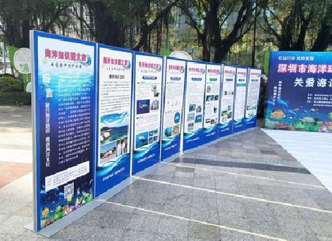 江陵KT板的种类和知识。